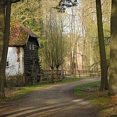 фото "old water mill"