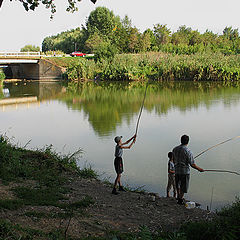 photo "Summer."