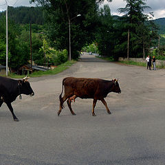 фото "Домой..."