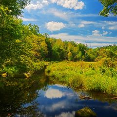 photo "Beaver country"