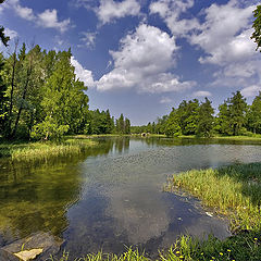 фото "Песни лета."