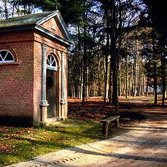 фото "forest chapel"