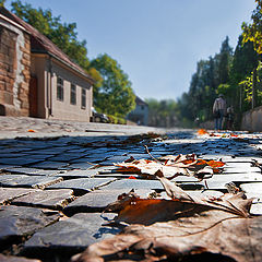 фото "Осень под ногами."