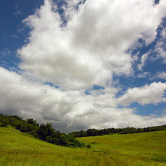 photo "Clouds over the forest"