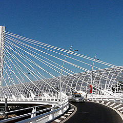 photo "Graceful bridge"