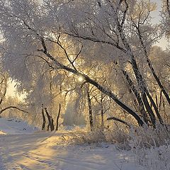 фото "Зимнее утро"