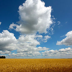 photo "Perspective clouds"