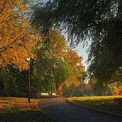 photo "Golden hour"