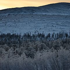 фото "В тени"