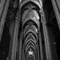 фото "in the Cathedral"