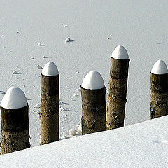 photo "Seven pencils"