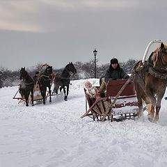 photo "Winter drivings"