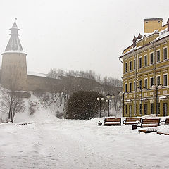 photo "And the snow fell ..."