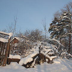 фото "Задворки."