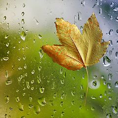 photo "Tears of Autumn ..."