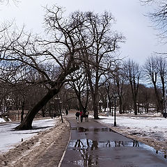 фото "Rīga. Начало новой весны."