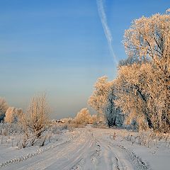 photo "The last frost"