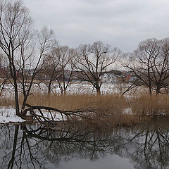 фото "Весна."