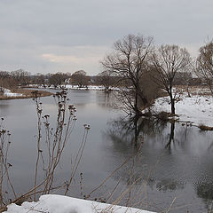 фото "Десна."