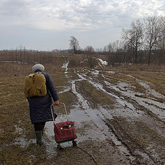 фото "Распутица."