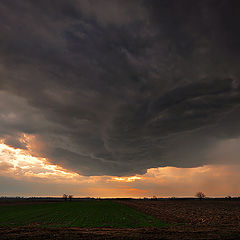 фото "Before the storm"