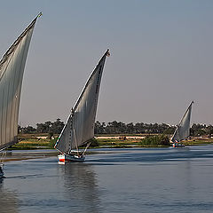 photo "Sailing on the Nile"