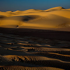 фото "Dunes 06"