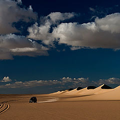 photo "Dunes 07"