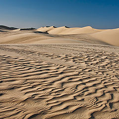 фото "Sand Dunes"