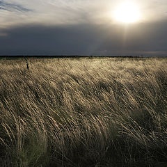 photo "Time of Troubles"