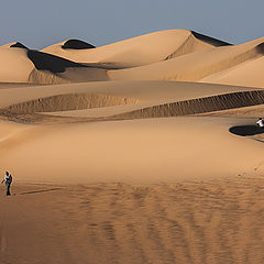 фото "Among the Dunes"