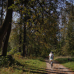 фото "В древнем парке."