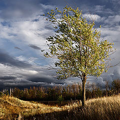 photo "Banishing autumn clouds"