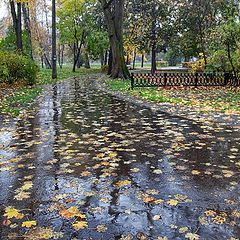 photo "in autumn park"