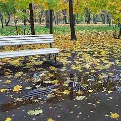 photo "in autumn park 2"