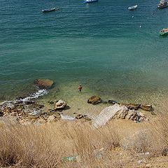 photo "Wild beach"