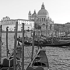 photo "Venice in graphics"