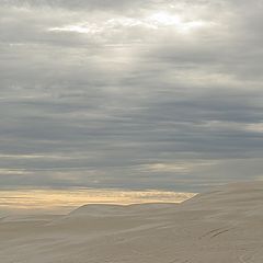 photo "Alone in the desert"