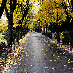 photo "Autumn has come"