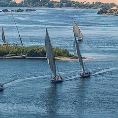 фото "Ballet on the Nile"