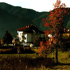 фото "есен в Родопите"