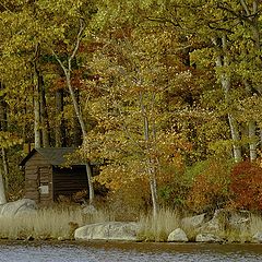 photo "Golden autumn at Harriman State Park"