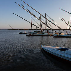 фото "Masts on the lake"