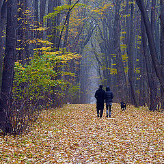 photo "The walk"