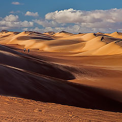 photo "Dunes all over"