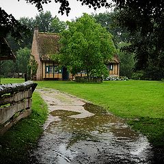 фото "after the rain"