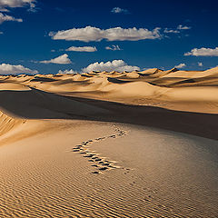 photo "World of Dunes"