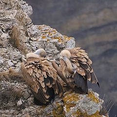 фото "Личная гигиена"