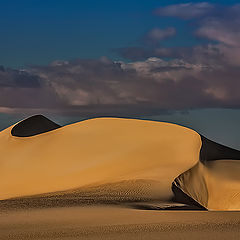 photo "Dunes 5"