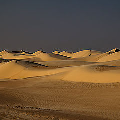 photo "Dunes 07"